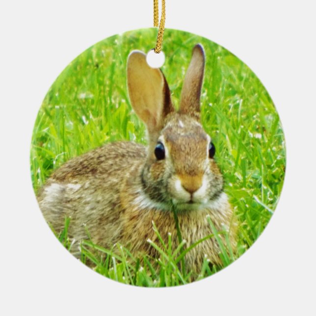 rabbit ceramic tree decoration (Front)