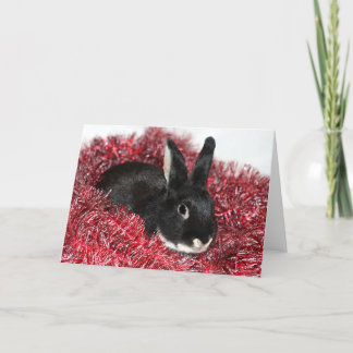 Rabbit Christmas Holiday Card