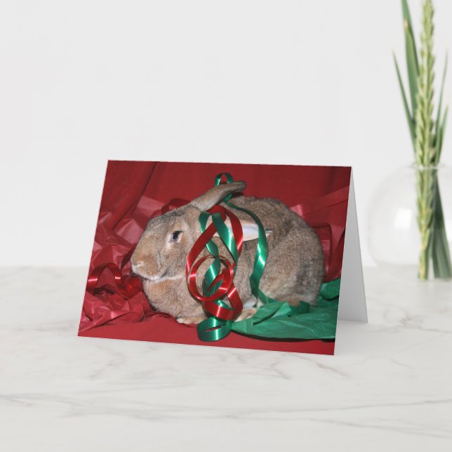 Rabbit Christmas Holiday Card (Front)