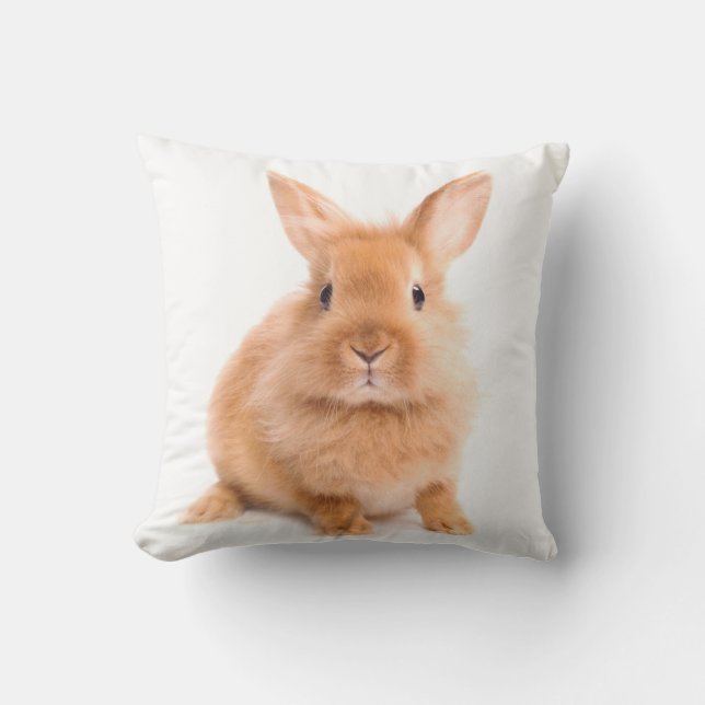 Rabbit Cushion (Front)