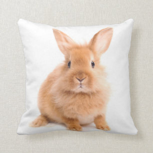 Rabbit Cushion