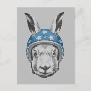 Rabbit Daredevil Postcard