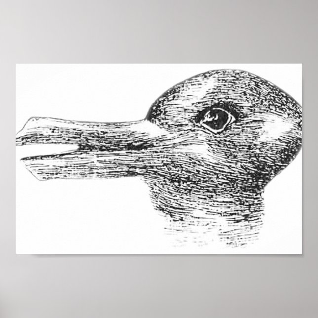 Rabbit Duck illusion Is it a Rabbit or is it a Duc Poster (Front)
