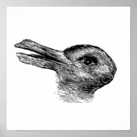 rabbit duck illusion