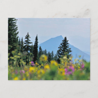 Rabbit Ears Floral Postcard