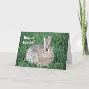 Rabbit Easter Card