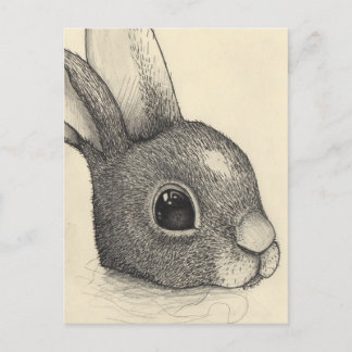 Rabbit eyes holiday postcard