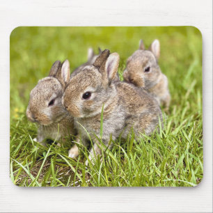 Rabbit Family Mouse Mat