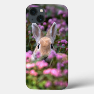 Rabbit farm iPhone 13 case