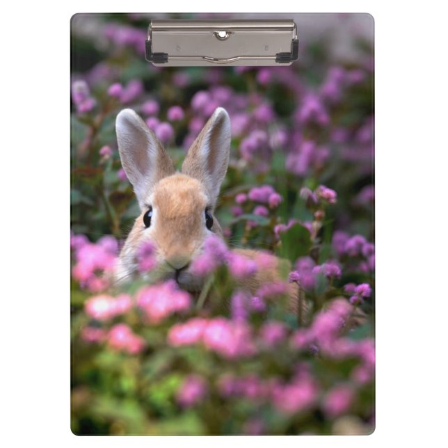 Rabbit farm clipboard (Front)