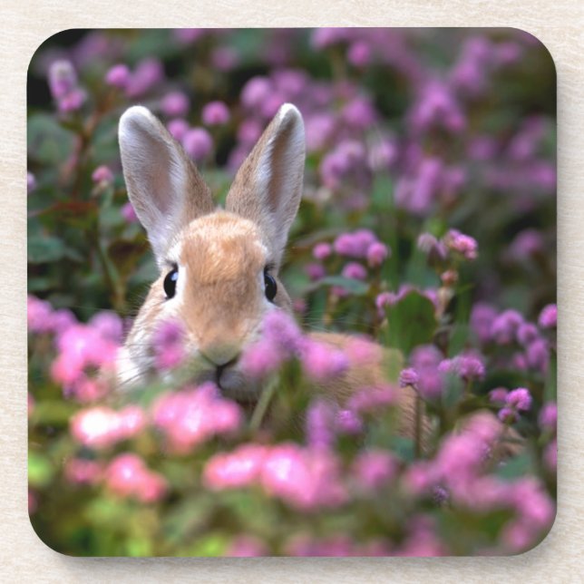 Rabbit farm coaster (Front)