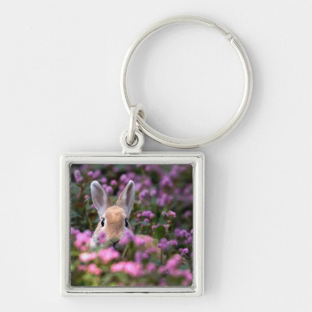 Rabbit farm key ring (Front)