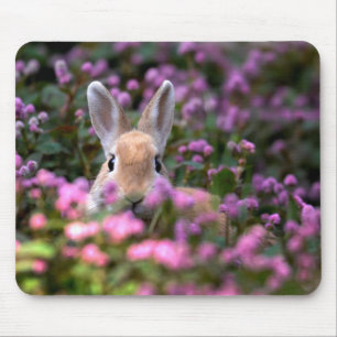 Rabbit farm mouse mat