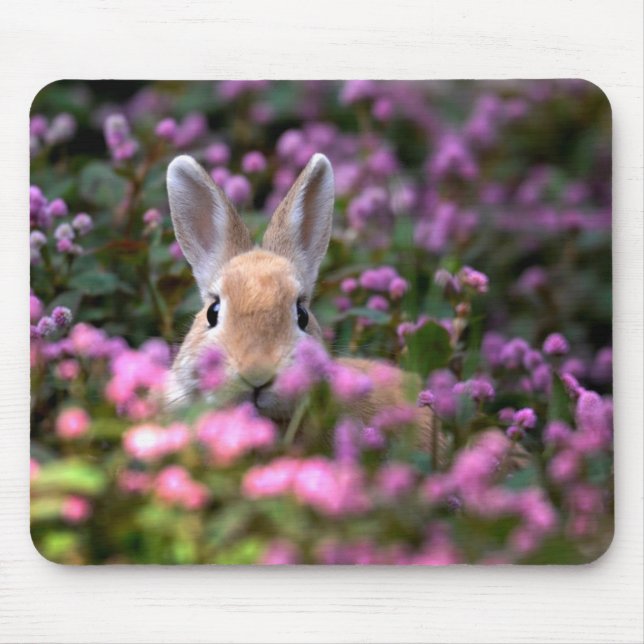 Rabbit farm mouse mat (Front)