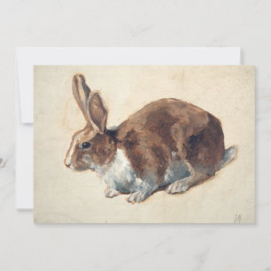 Rabbit   Floris Verster
