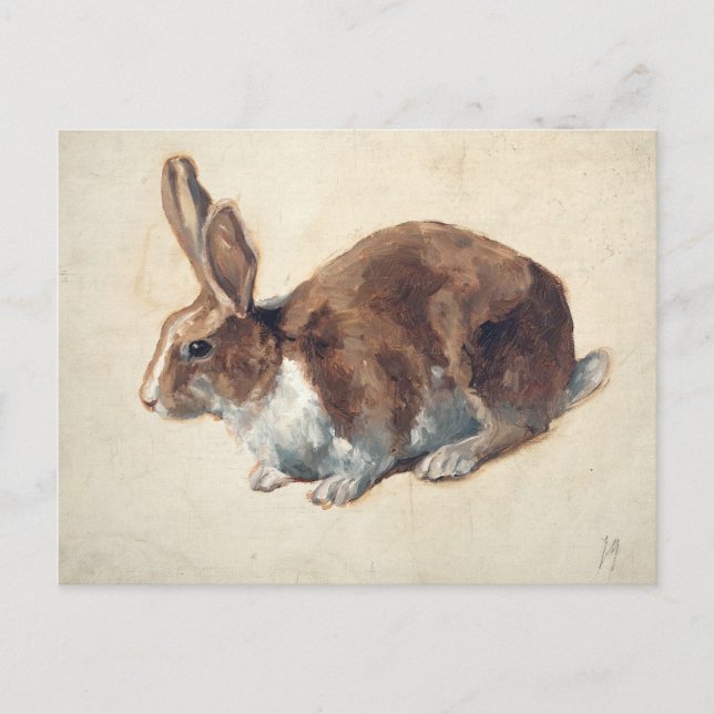 Rabbit | Floris Verster Postcard (Front)