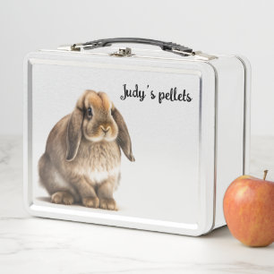 Rabbit food container metal lunch box