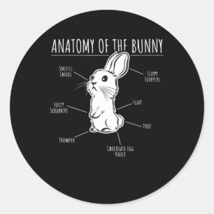 Rabbit Gift  Anatomy Of Bunny Cute Rabbit Pet Love Classic Round Sticker