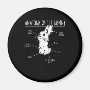 Rabbit Gift  Anatomy Of Bunny Cute Rabbit Pet Love Magnet