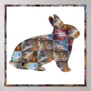 RABBIT : Graphic Design Poster