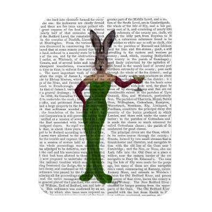 Rabbit Green Dress Magnet