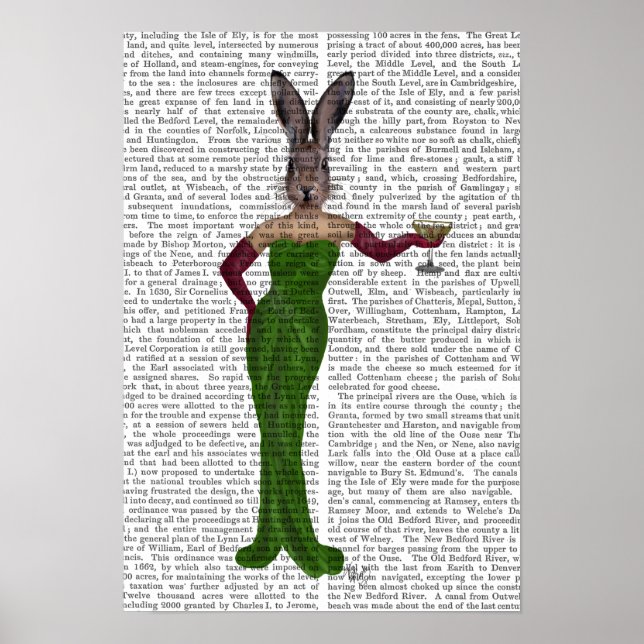 Rabbit Green Dress Poster (Front)
