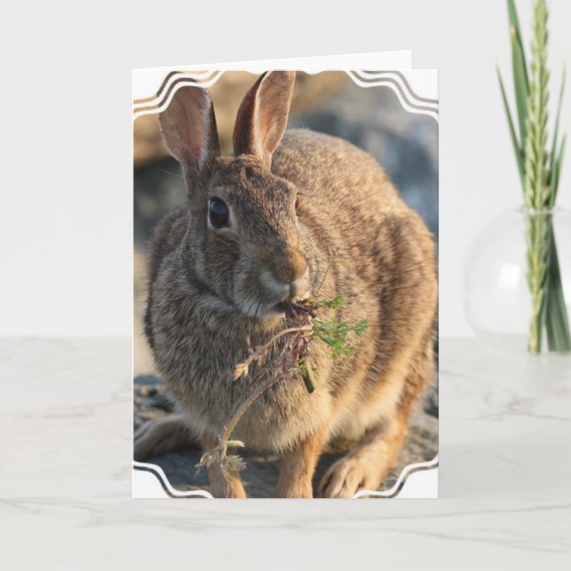 Rabbit Greeting Card (Front)