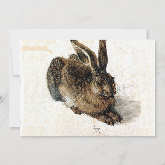 Rabbit Hare in the Snow - Durand (Front)