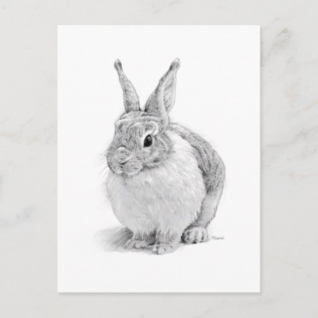Rabbit Holiday Postcard (Front)
