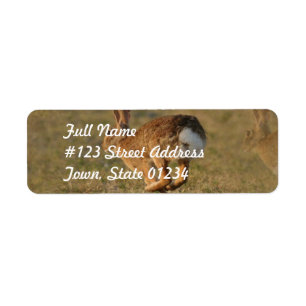 Rabbit Hopping Return Address Mailing Label
