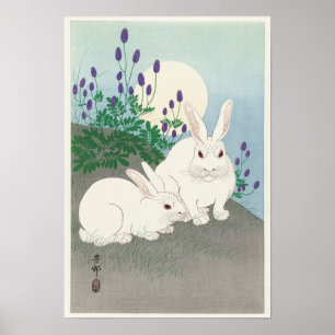 Rabbit Illustration Poster