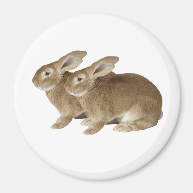 Rabbit image for Large Round Magnet (Front)