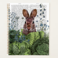 Rabbit in a Cabbage Patch