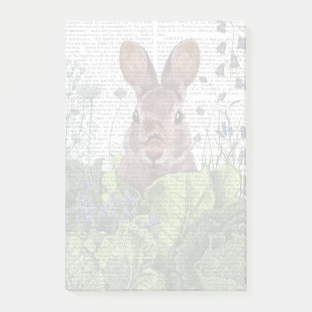 Rabbit in a Cabbage Patch Post-it Notes (Front)