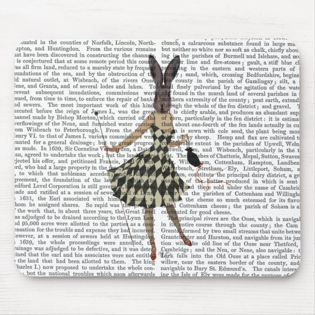 Rabbit in Black White Dress Mouse Mat (Front)