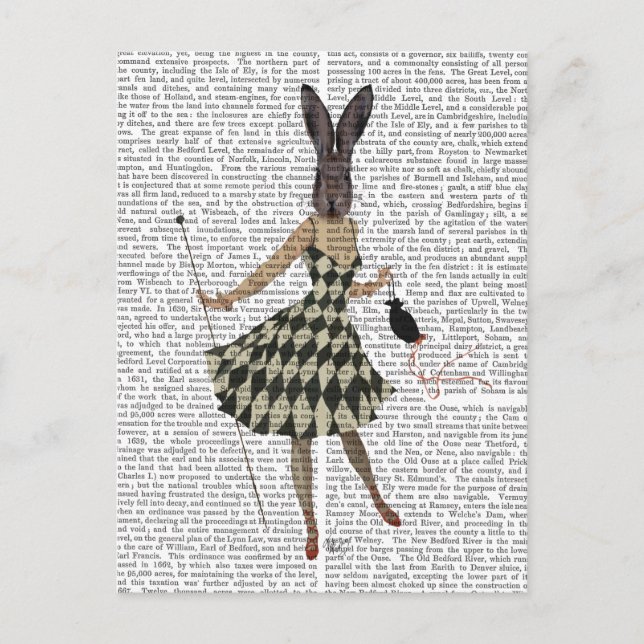 Rabbit in Black White Dress Postcard (Front)