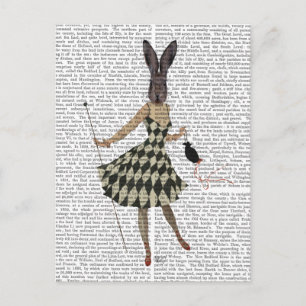 Rabbit in Black White Dress Postcard