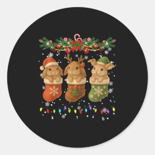 Rabbit In Christmas Socks Lights Rabbit Xmas Classic Round Sticker