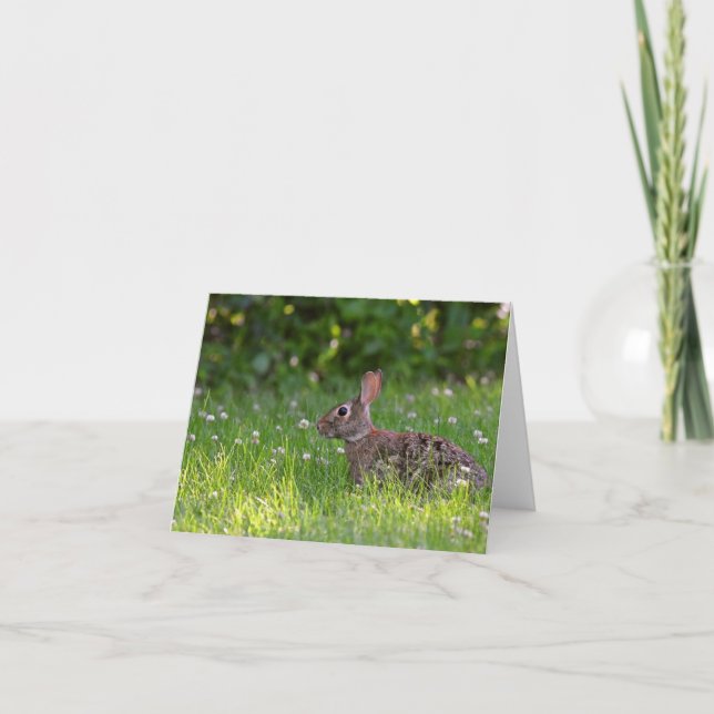 Rabbit in clover blank inside notecard.  thank you card (Front)