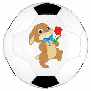 RABBIT IN LOVE FOOTBALL