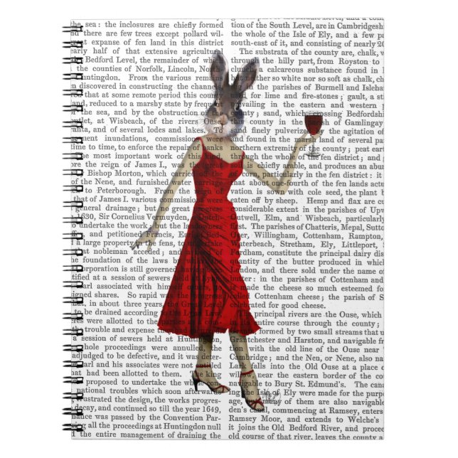 Rabbit in Red Dress Notebook (Front)