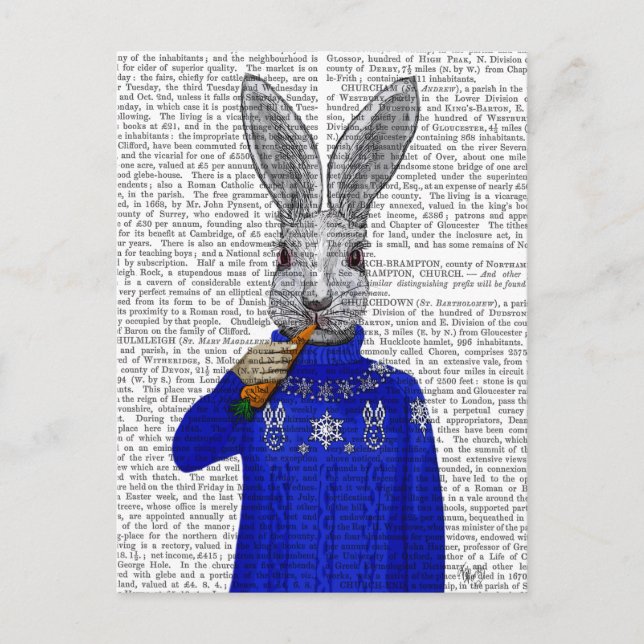 Rabbit In Sweater 2 Postcard (Front)