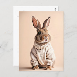 Rabbit in sweater, Postcrossing Postcard