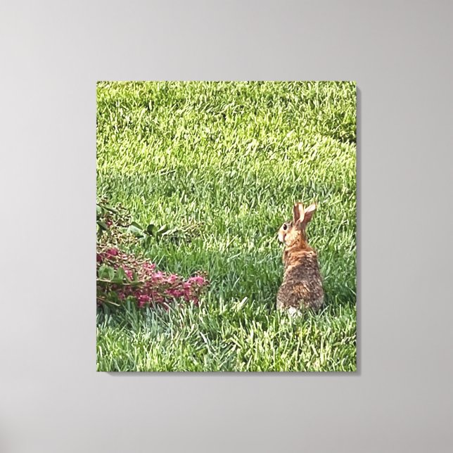 Rabbit in the Grass – Peaceful Nature Photography  Canvas Print (Front)