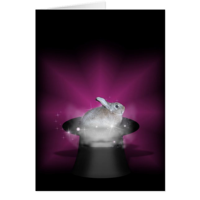 Rabbit  in the Magic Hat (Front)