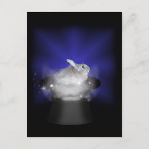 Rabbit  in the Magic Hat Postcard