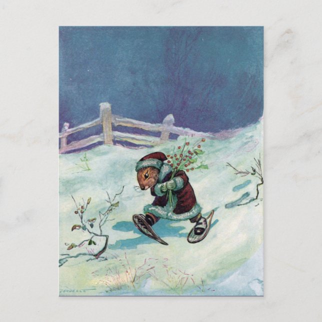 Rabbit in Winter Coat and Snowshoes Postcard (Front)
