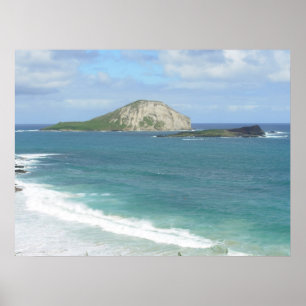 Rabbit Island on Ohau Poster
