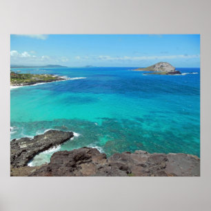 Rabbit Island Poster