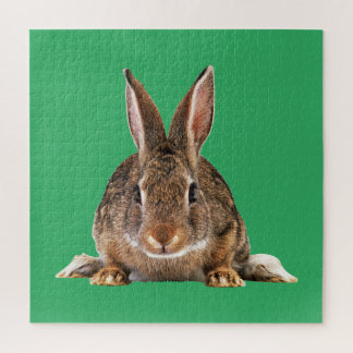 RABBIT JIGSAW PUZZLE